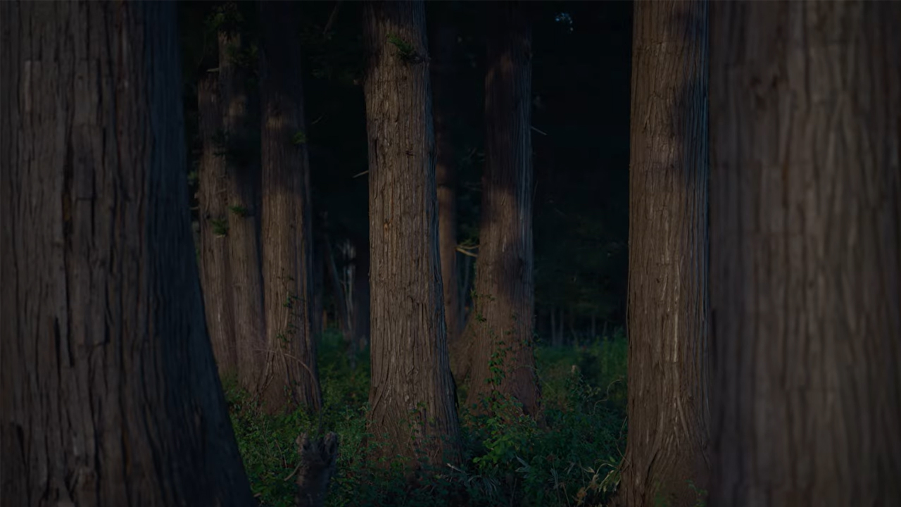 Đà Lạt và những người bạn đầu to - Sigma 10-18 mm F2.8