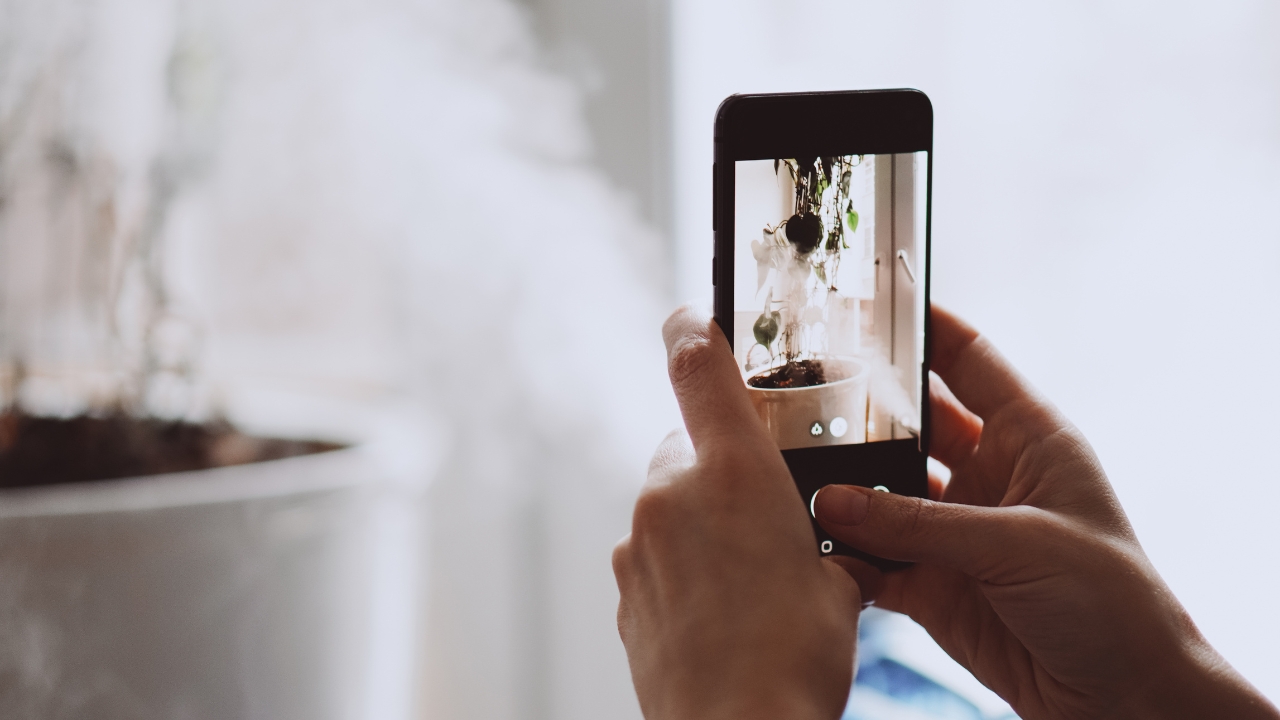 Thực hành chụp ảnh nghệ thuật bằng smartphone