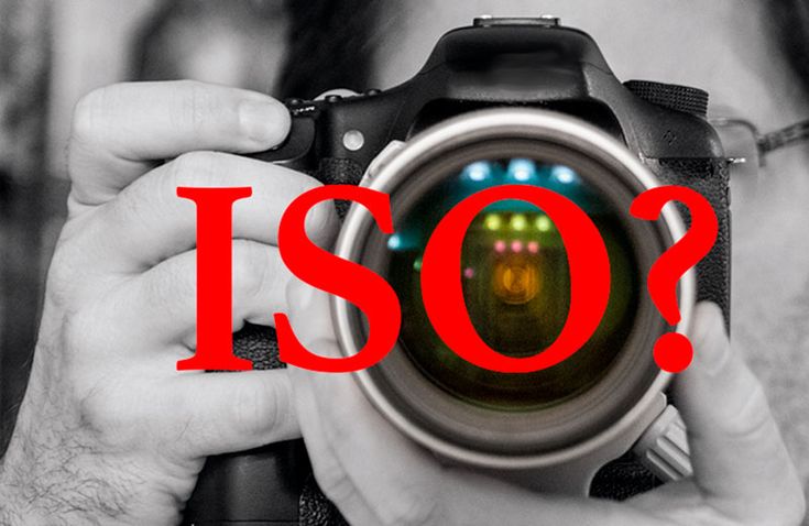 Độ nhạy ISO