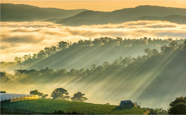 Điều kiện ánh sáng mạnh