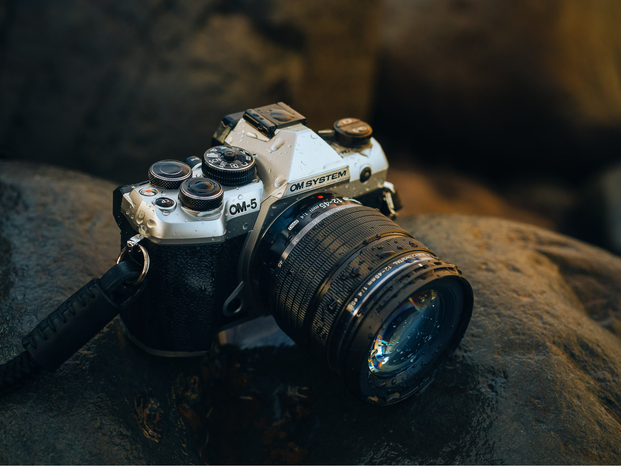 Việc một chiếc máy ảnh Mirrorless tương thích với nhiều loại ống kính là một yếu tố then chốt