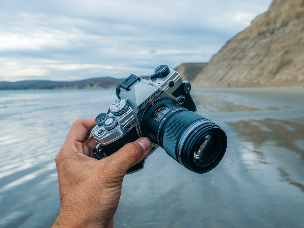 ⌘完動品！ モルト交換済、作例あり！ OLYMPUS OM2 SP⌘ ⌘完動品！ モルト交換済、作例あり！ OLYMPUS OM2 SP⌘ Amazon